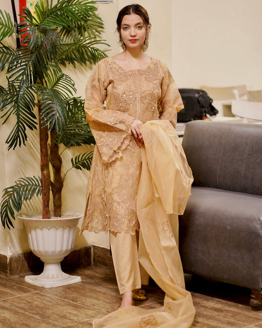 Sitara Ensemble Brown by Riwaj Fashions